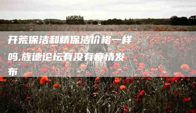 开荒保洁和精保洁价格一样吗,旌德论坛有没有疫情发布-家政服务网