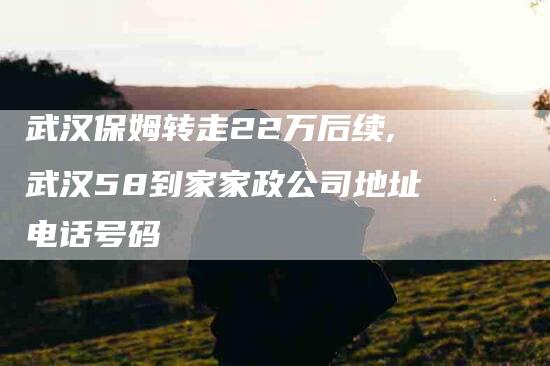 武汉保姆转走22万后续,武汉58到家家政公司地址电话号码