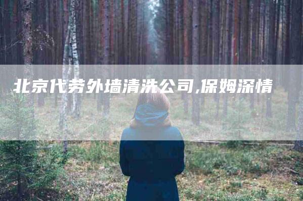 北京代劳外墙清洗公司,保姆深情