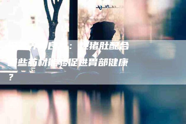 探寻养胃良方：炖猪肚配合哪些药材能够促进胃部健康？