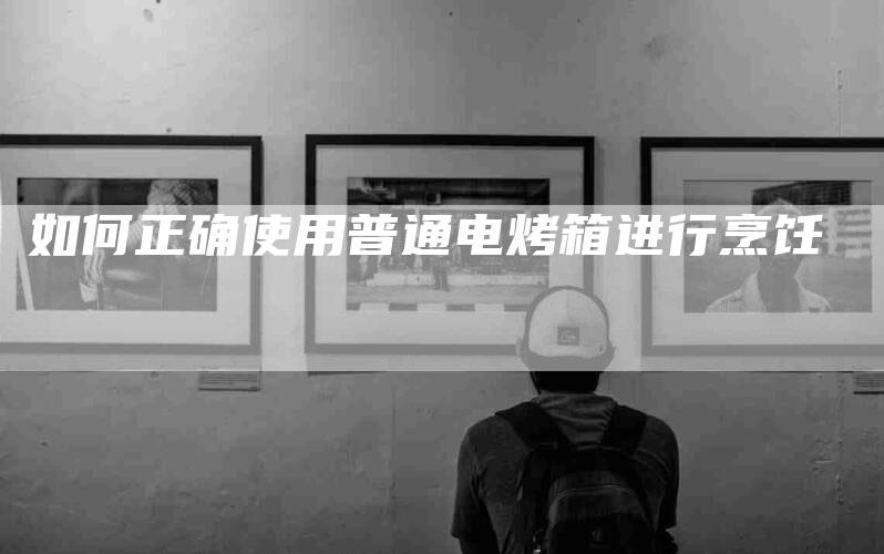 如何正确使用普通电烤箱进行烹饪-家政服务网