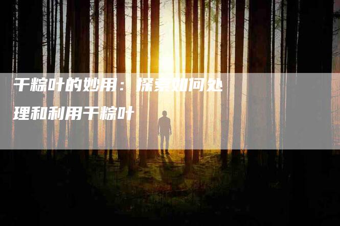 干粽叶的妙用：探索如何处理和利用干粽叶