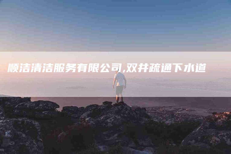 顺洁清洁服务有限公司,双井疏通下水道-家政服务网