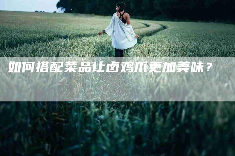 如何搭配菜品让卤鸡爪更加美味？-家政服务网