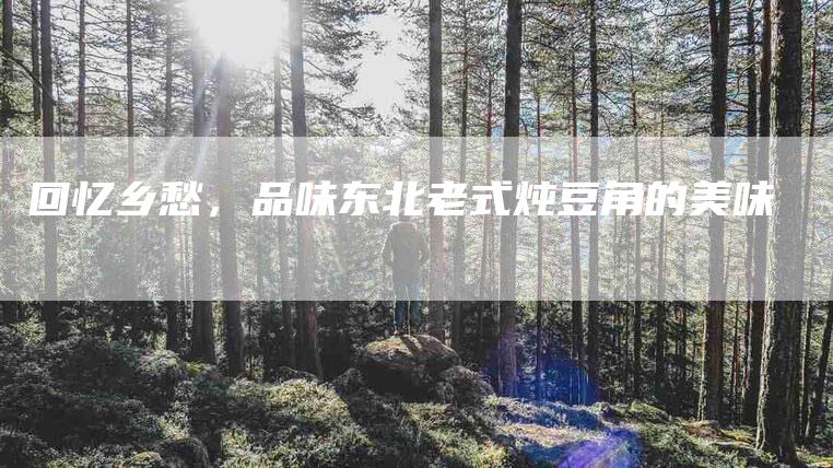 回忆乡愁，品味东北老式炖豆角的美味-家政服务网