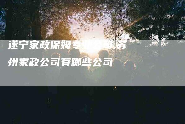 遂宁家政保姆专业公司,苏州家政公司有哪些公司-家政服务网