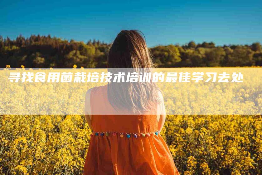 寻找食用菌栽培技术培训的最佳学习去处