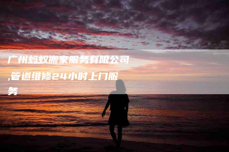 广州蚂蚁搬家服务有限公司,管道维修24小时上门服务-家政服务网