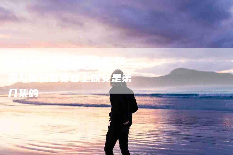 北京东城区酒店价格表,保姆与保安富婆看上保安是第几集的