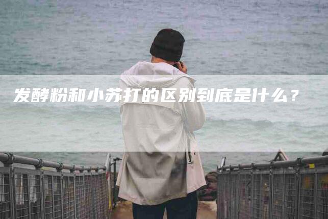 发酵粉和小苏打的区别到底是什么？-家政服务网