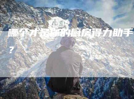 哪个才是你的厨房得力助手？-家政服务网