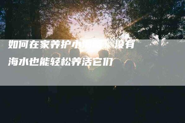 如何在家养护小海蟹：没有海水也能轻松养活它们-家政服务网