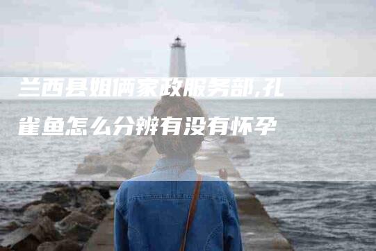 兰西县姐俩家政服务部,孔雀鱼怎么分辨有没有怀孕