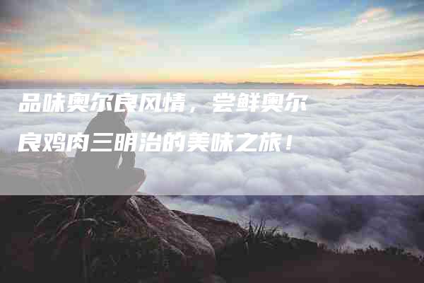 品味奥尔良风情，尝鲜奥尔良鸡肉三明治的美味之旅！