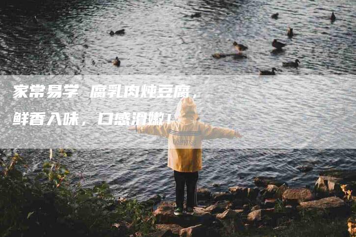 家常易学 腐乳肉炖豆腐，鲜香入味，口感滑嫩！-家政服务网