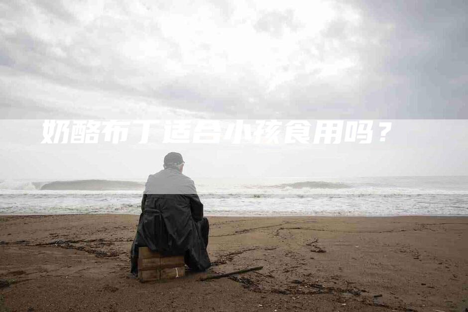 奶酪布丁适合小孩食用吗？-家政服务网