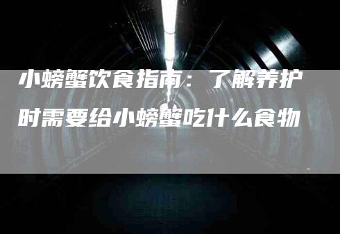小螃蟹饮食指南:了解养护时需要给小螃蟹吃什么食物-家政服务网