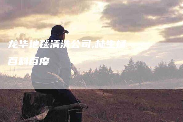 龙华地毯清洗公司,林生斌百科百度-家政服务网