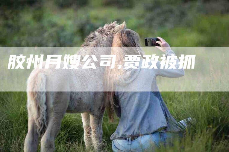 胶州月嫂公司,贾政被抓-家政服务网